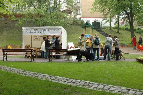 KLinika_Pediatrii3_500.jpg